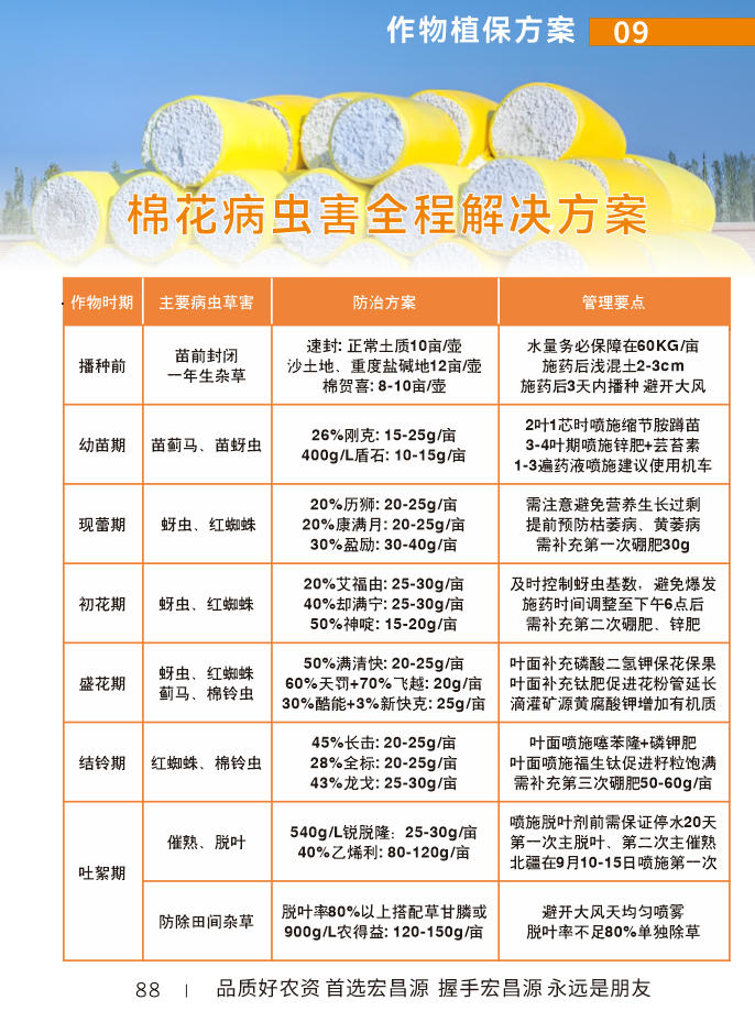 03棉花方案.jpg