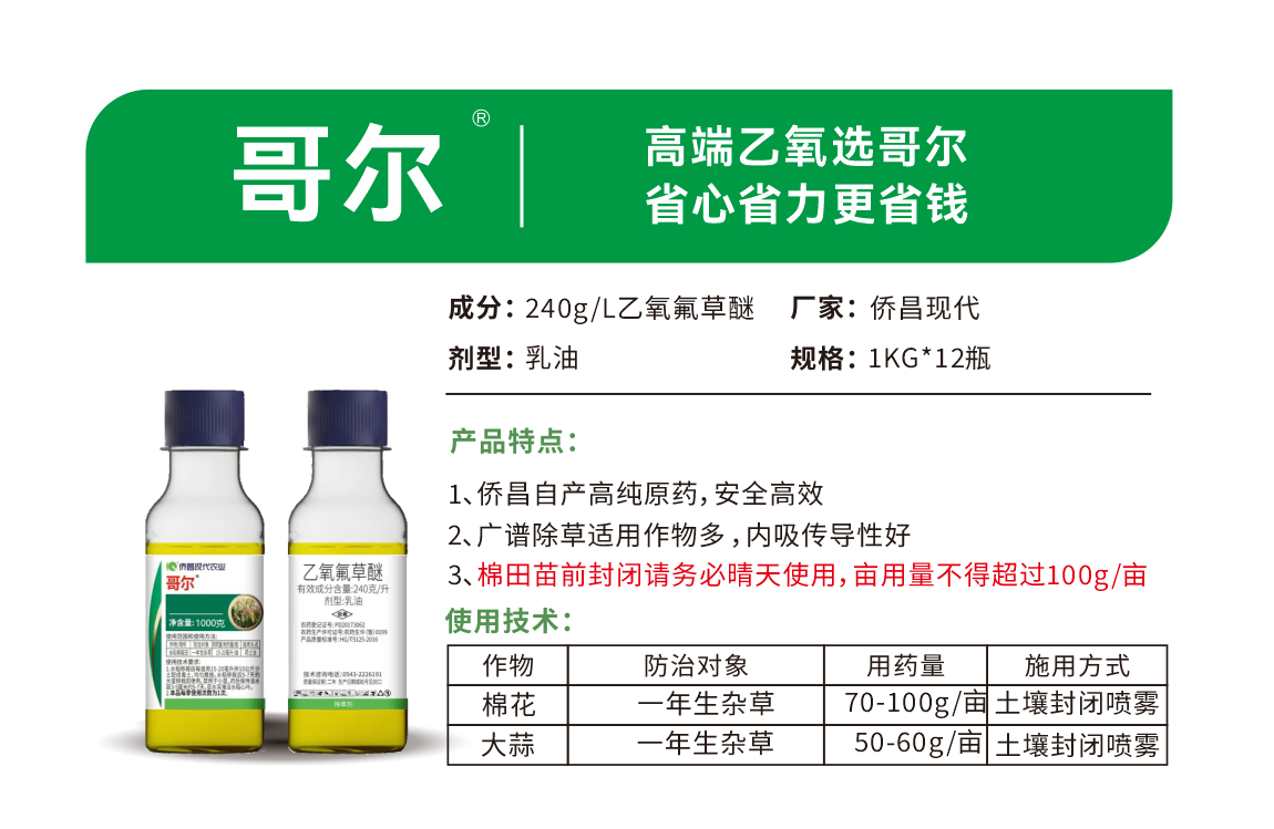 哥尔.png