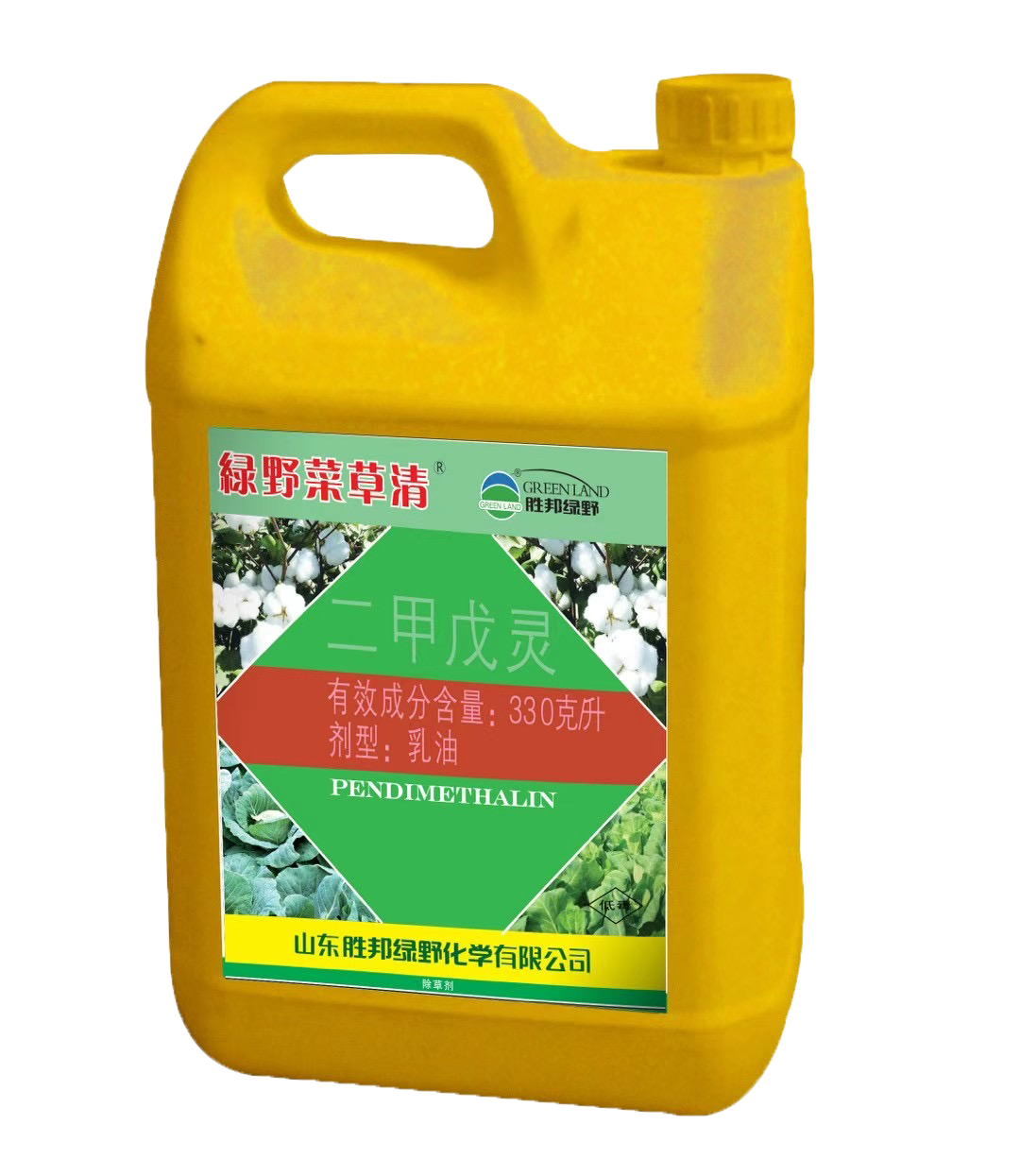 菜草清