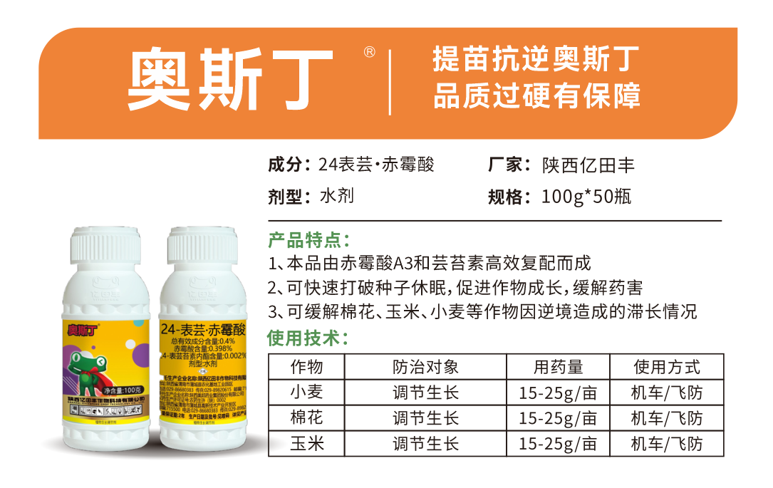 奥斯丁.png