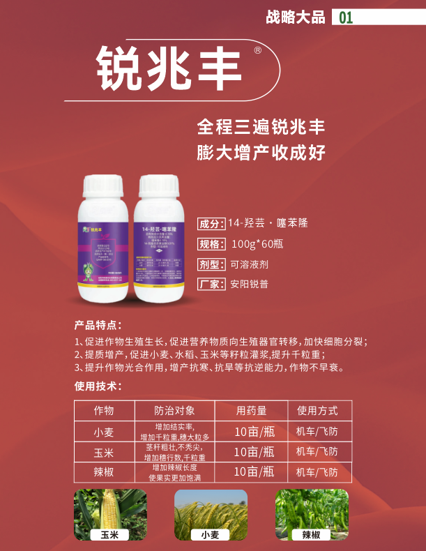 锐兆丰.png